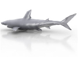 Инструкции по созданию моделей акул на основе анимации