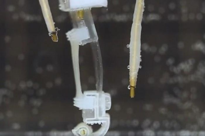 Япония создает робота с живыми мышцами, который может ходить по воде